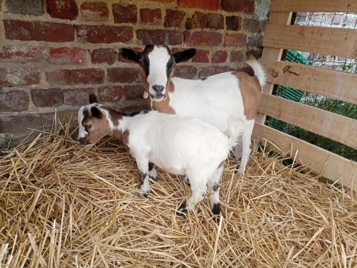 Gite A La Ferme Chez Magali Escaudoeuvres Exterior foto